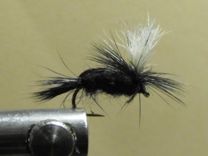 Humpy, Black - Parachute