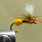 Ant , Orange - Parachute