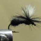 Ant , Black - Parachute