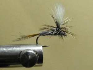 Pheasant Tail - Parachute