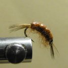 Scud, Brown