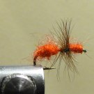 Ant, Red - Wingless