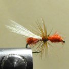 Ant, Red - Winged