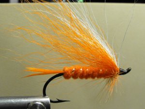 Polar Shrimp - 1/0