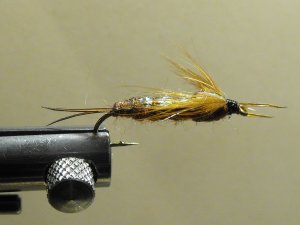 Stonefly, Brown - Flash Back