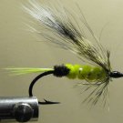 Chum Candy - Squirrel Winged