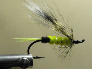 Chum Candy - Squirrel Winged