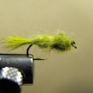 Hare's Ear, Olive