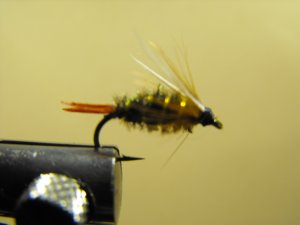Prince Nymph