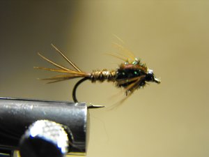 Pheasant Tail