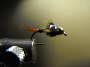 Copper John , Black - Brass Bead Head