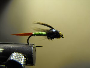 Copper John , Charteruce - Brass Bead Head