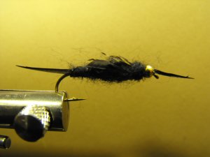 Stonefly, Black - Brass Bead Head