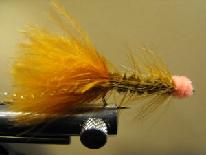Egg Sucking Leech, Brown
