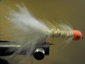 Egg Sucking Leech, White