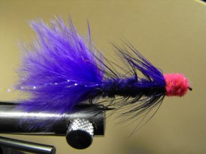 Egg Sucking Leech, Purple