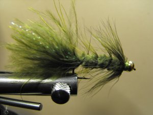 Woolly Bugger, Olive - Brass Bead Head