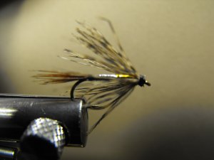 Lightning Bug - Soft Hackle