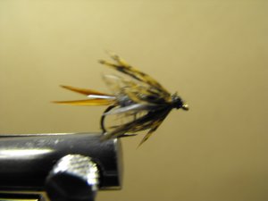 Rainbow Prince Nymph