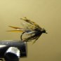 Rainbow Prince Nymph