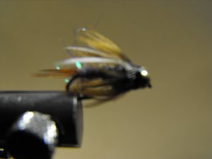 Rainbow Prince Nymph - Brass Bead Head