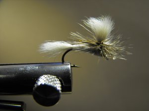 White Wulff, Parachute