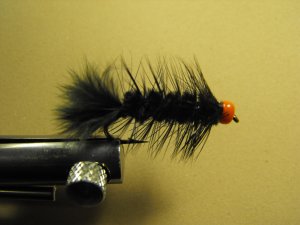 Leach with red bead egg  - Black
