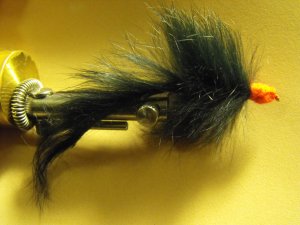 Egg Sucking Bunny Leech - Black