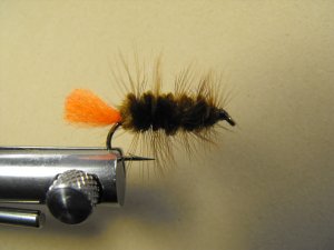 Wooly Worm, Brown  with Red Tail - Weighted