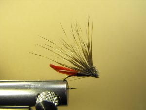 Extended Bodied Elk Hair Caddis - Red