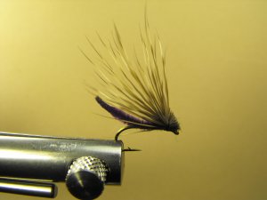 Extended Bodied Elk Hair Caddis - Purple