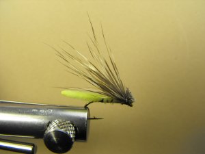 Extended Bodied Elk Hair Caddis - Chartreuse