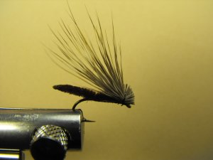 Extended Bodied Elk Hair Caddis - Brown