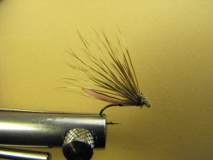 Extended Bodied Elk Hair Caddis - Pink - Dry Fly - Trout