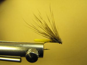 Extended Bodied Elk Hair Caddis - Yellow