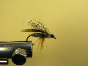 Partridge Adult Caddis - Dry Fly