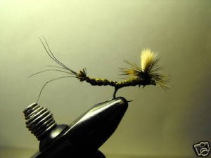 1 Dzn - Par Olive Drake May Fly -  Dry Fly - Trout