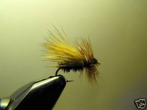 1 Dozen - Peacock Elk Hair Caddis - Dry Fly - Trout