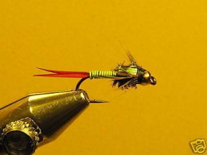 12 Brass Bead Chart Copper John Nymph Wet Fly Trout