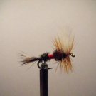 1 Dozen -  Royal Wulff  - Dry Fly -  Assortment