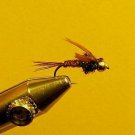 12 Brass Bead Pheasant Tail Nymph Wet Fly Trout