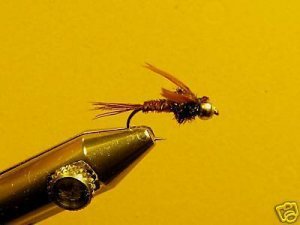 12 Brass Bead Pheasant Tail Nymph Wet Fly Trout