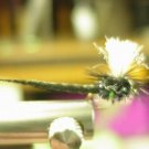 1 Dzn - Par Black Drake May Fly -  Dry Fly - Trout
