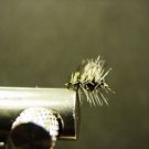 1 Dozen - Griffith Gnat - Midge Dry Fly - Trout