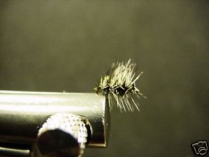 1 Dozen - Griffith Gnat - Midge Dry Fly - Trout
