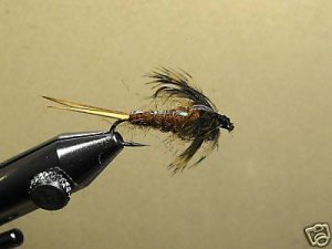 12 Flash Back BWN Stone Fly Nymph - Wet Fly - Trout