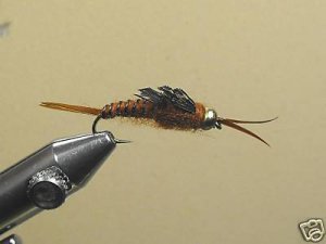 12  Brass Beaded Brown Stone Fly Nymph - Wet Fly Trout