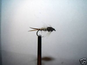 12  Birds Nest Stonefly Nymph Wet Fly Trout Steelhead