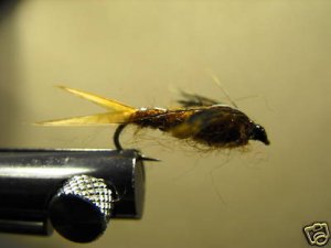 1 dozen Flash Back Brown Stonefly Nymph - Trout Wet Fly