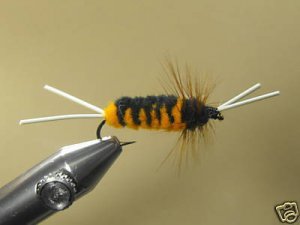 1 Dozen Bitch Creek Nymph - Wet Fly - Trout & Steelhead